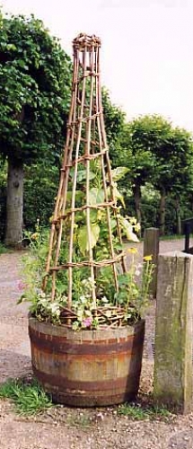 Plant Supports
